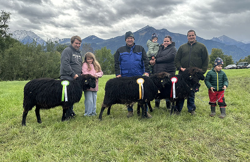 © Schafzuchtverband Vorarlberg © Schafzuchtverband Vorarlberg