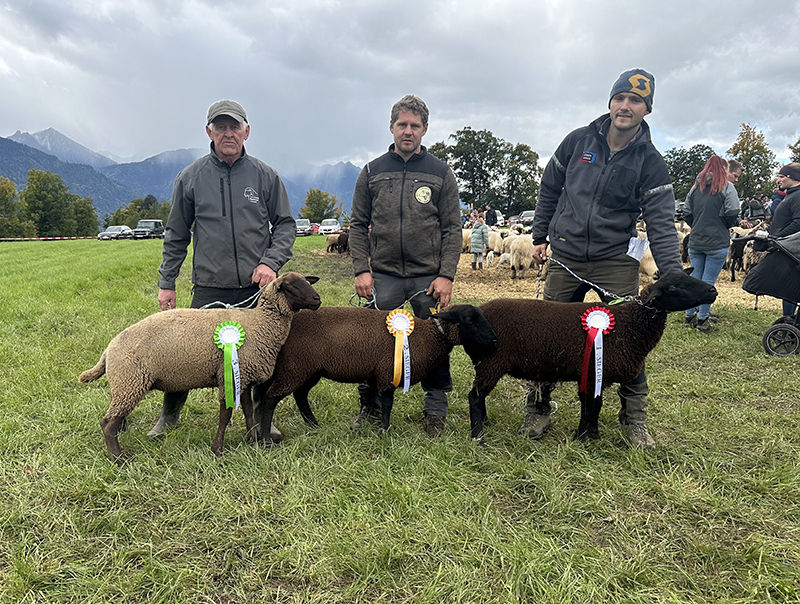 © Schafzuchtverband Vorarlberg