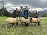 © Schafzuchtverband Vorarlberg © Schafzuchtverband Vorarlberg