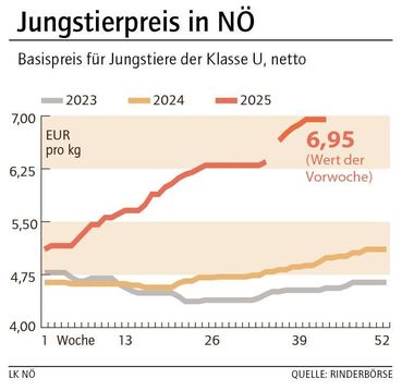 Grafik Stierpreis 44_2025.jpg © LK NÖ Grafik Stierpreis 44_2025.jpg © LK NÖ