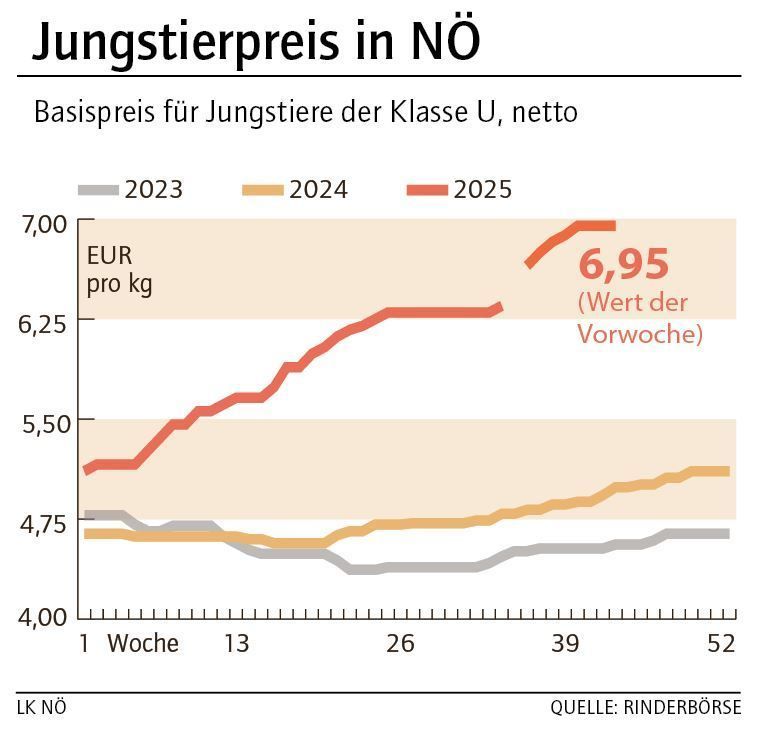 Grafik Stierpreis 44_2025.jpg © LK NÖ