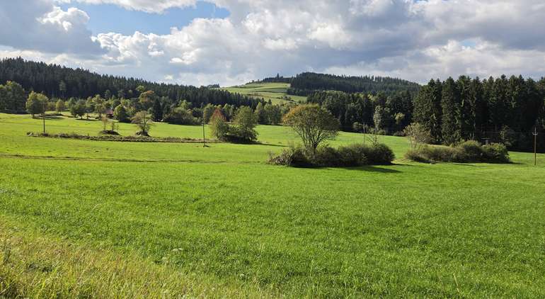 Landschaft_Muehlviertel.jpg © LK OÖ, DI Leo Weichselbaumer