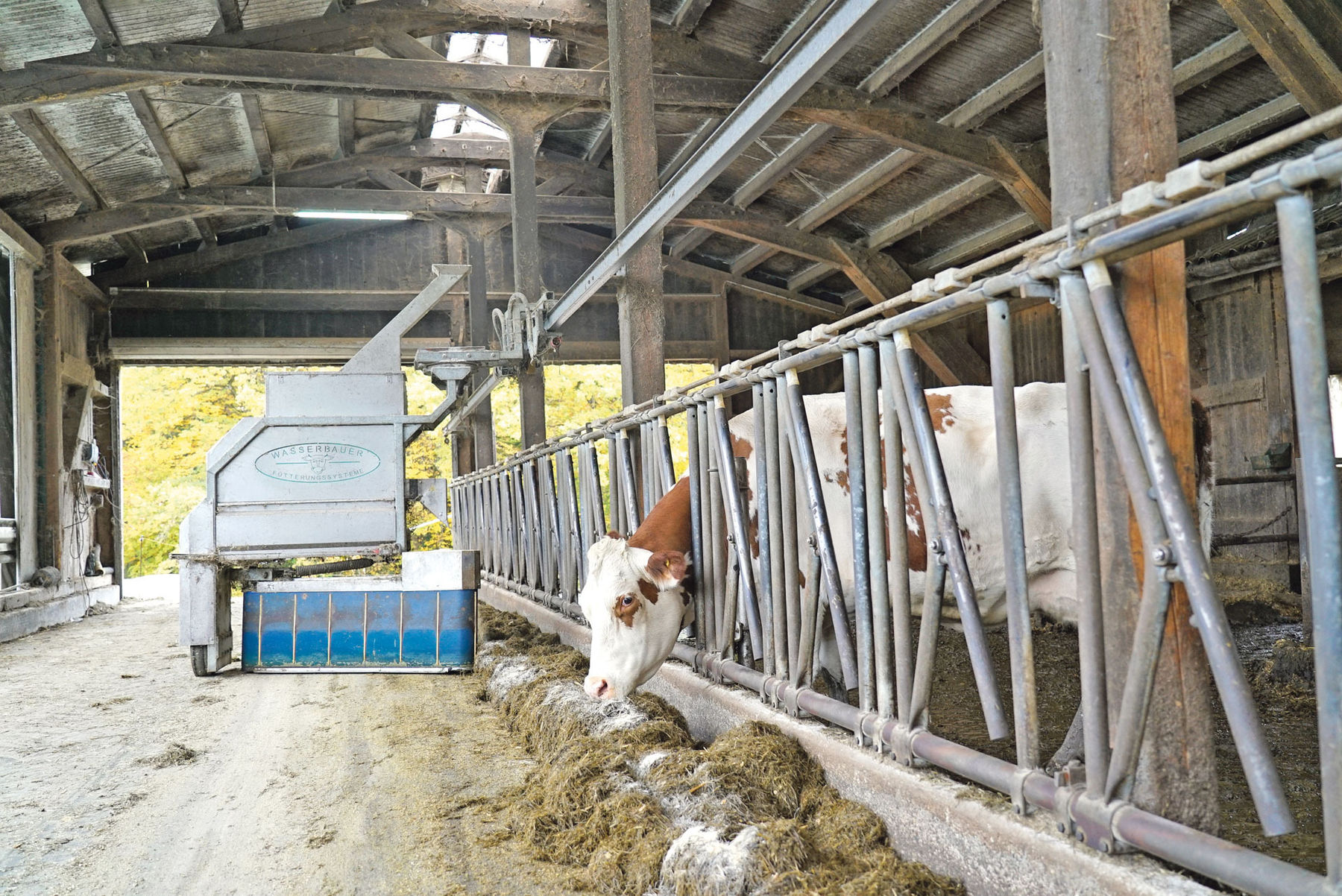 Bio-Landwirtschaft und Photovoltaik ab   der ersten Stunde .jpg © Hatheier Bio-Landwirtschaft und Photovoltaik ab   der ersten Stunde .jpg © Hatheier
