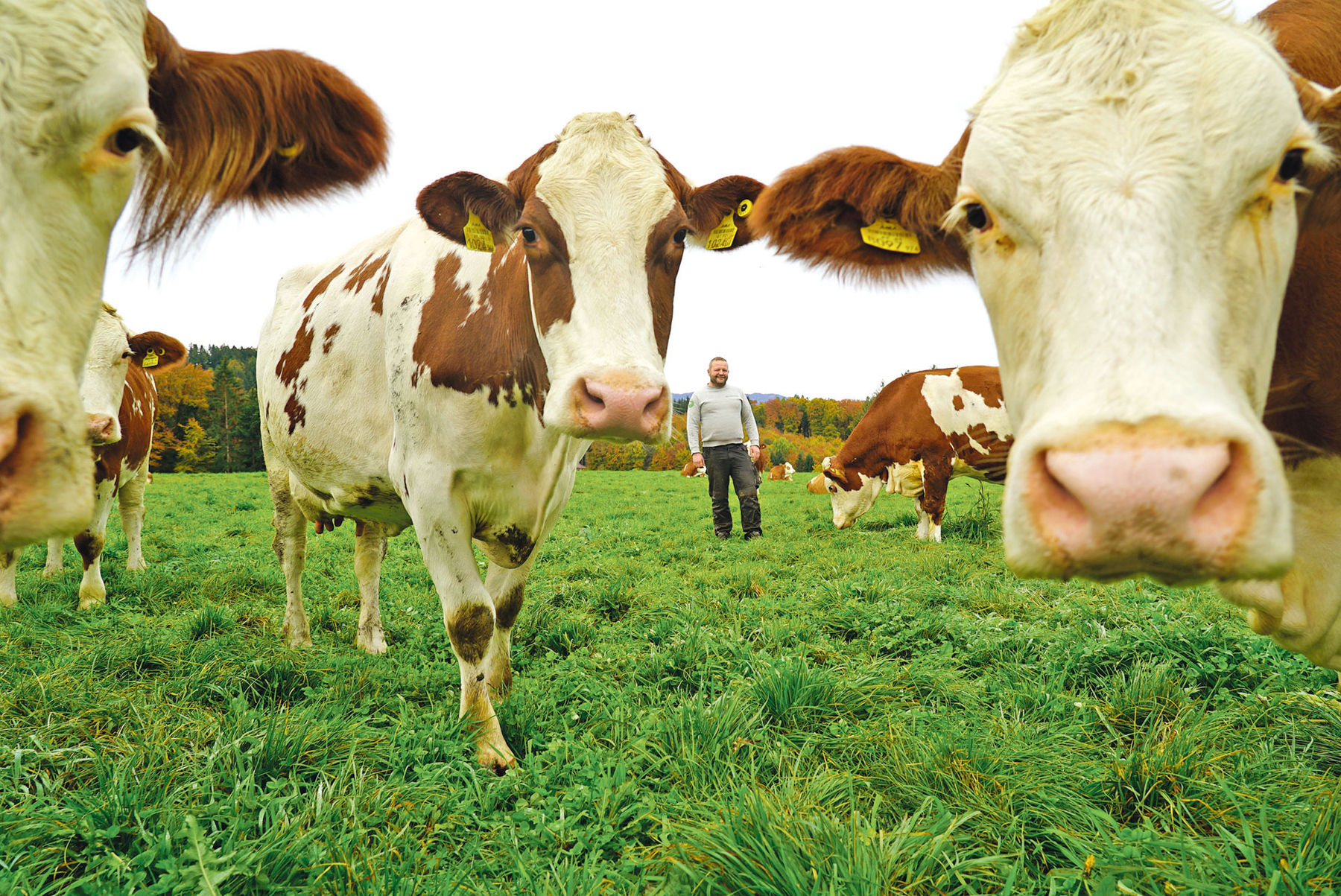 Bio-Landwirtschaft und Photovoltaik ab   der ersten Stunde .jpg © Hatheier Bio-Landwirtschaft und Photovoltaik ab   der ersten Stunde .jpg © Hatheier