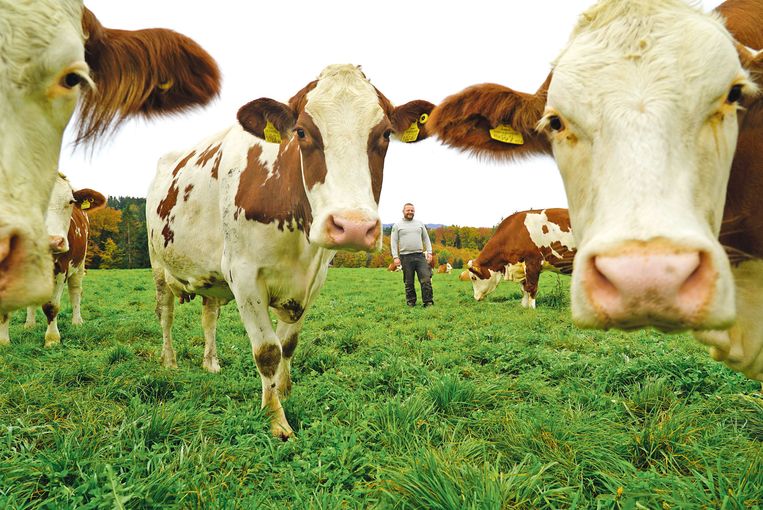 Bio-Landwirtschaft und Photovoltaik ab   der ersten Stunde .jpg © Hatheier Bio-Landwirtschaft und Photovoltaik ab   der ersten Stunde .jpg © Hatheier