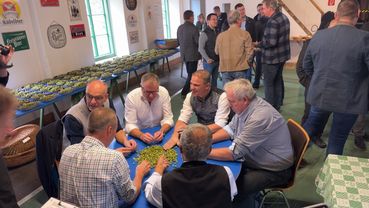 Gute Stimmung bei der heurigen Hopfenbonitierung.jpg © LK OÖ/ Kastenhuber