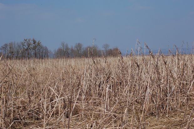 [1761746882153354_7.jpg]