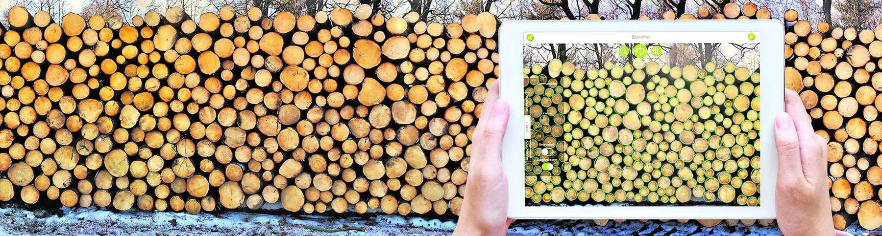 Forst © Leitner Forst © Leitner