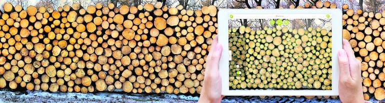 Forst © Leitner Forst © Leitner