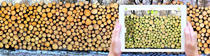 [1761747697481730_1.jpg]