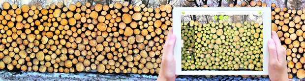 [1761747697481730_7.jpg]