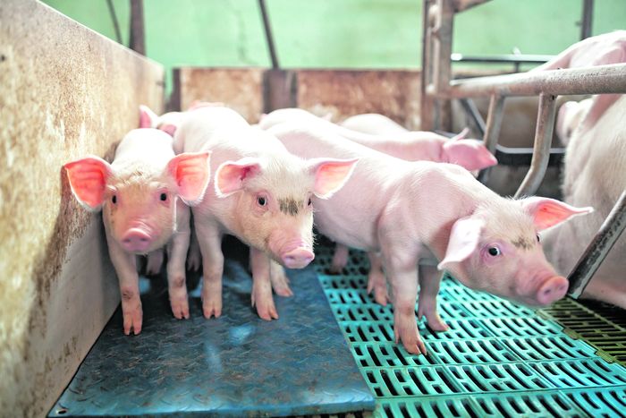 [1761748595251973_1.jpg]