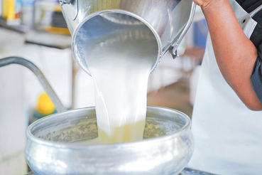 Energie im Futter bringt Eiweiß in die Milch .jpg © AdobeStock Energie im Futter bringt Eiweiß in die Milch .jpg © AdobeStock