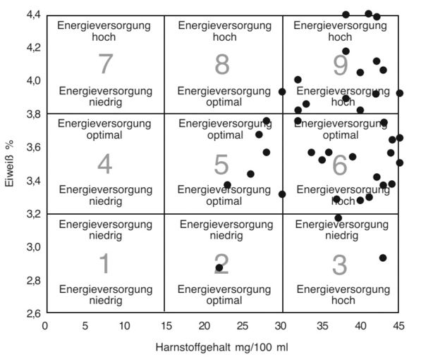 Energie im Futter bringt Eiweiß in die Milch .jpg © AdobeStock