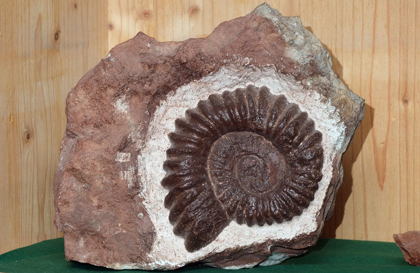 heimat sb44-2.jpg © Standl