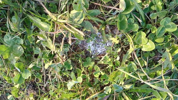 [176181574668292_7.jpg]