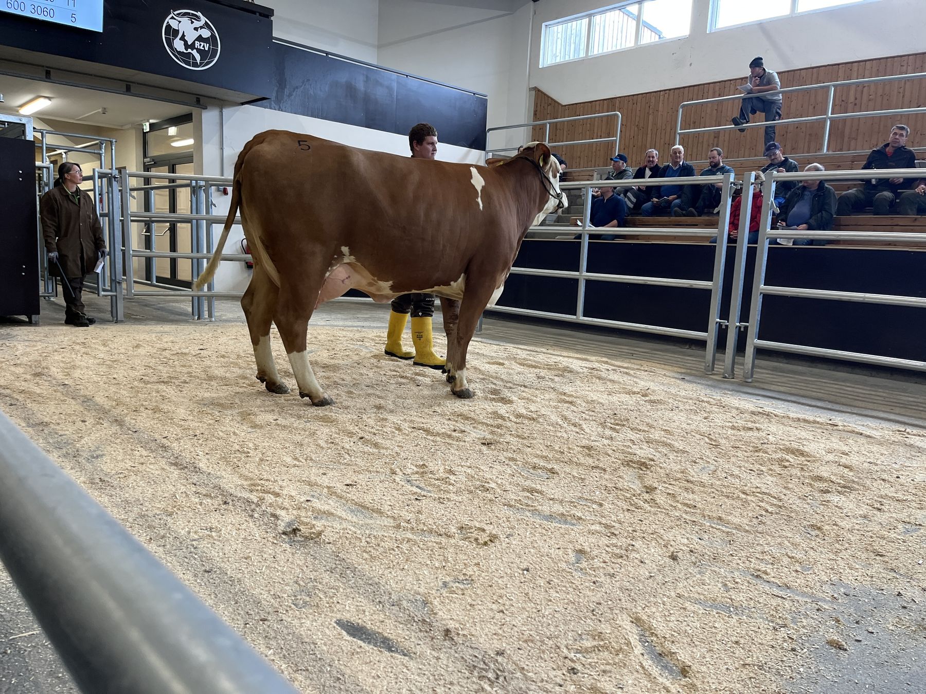 Versteigerung RZO und RZV IMG_8515.jpg © RZO Versteigerung RZO und RZV IMG_8515.jpg © RZO