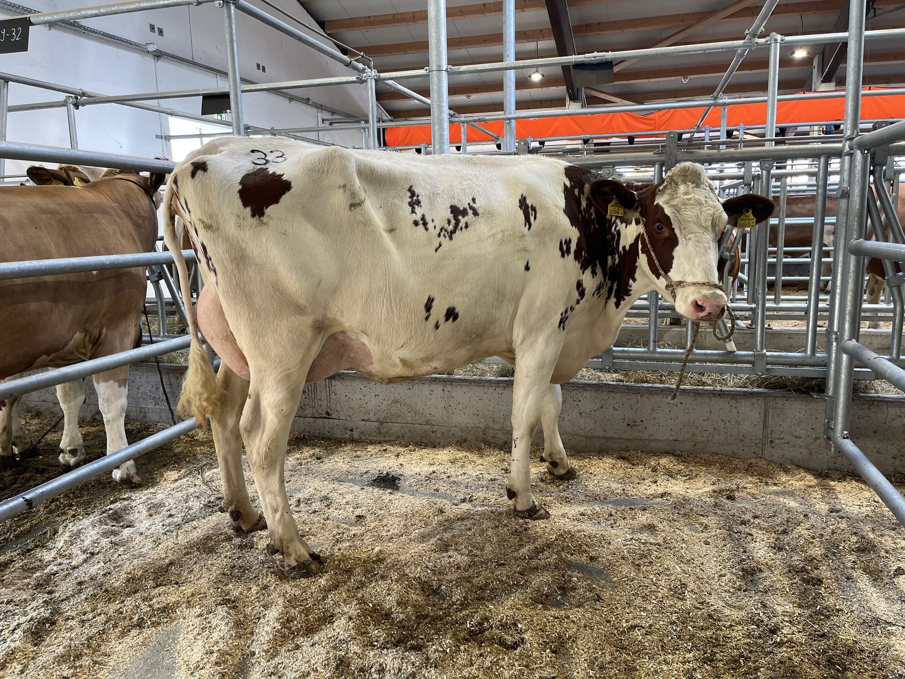 Versteigerung RZO und RZV IMG_8537.jpg © RZO