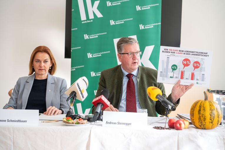 © LK Steiermark-Danner