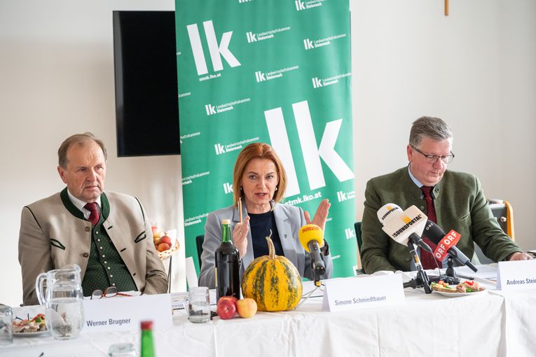 © LK Steiermark-Danner