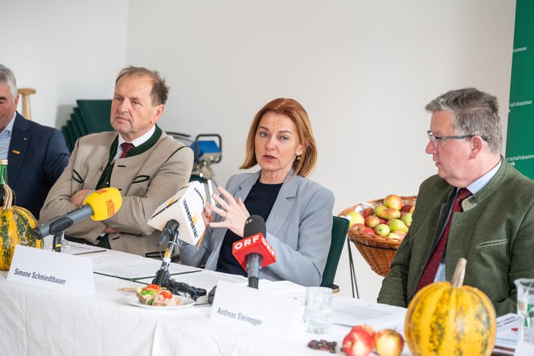 © LK Steiermark-Danner