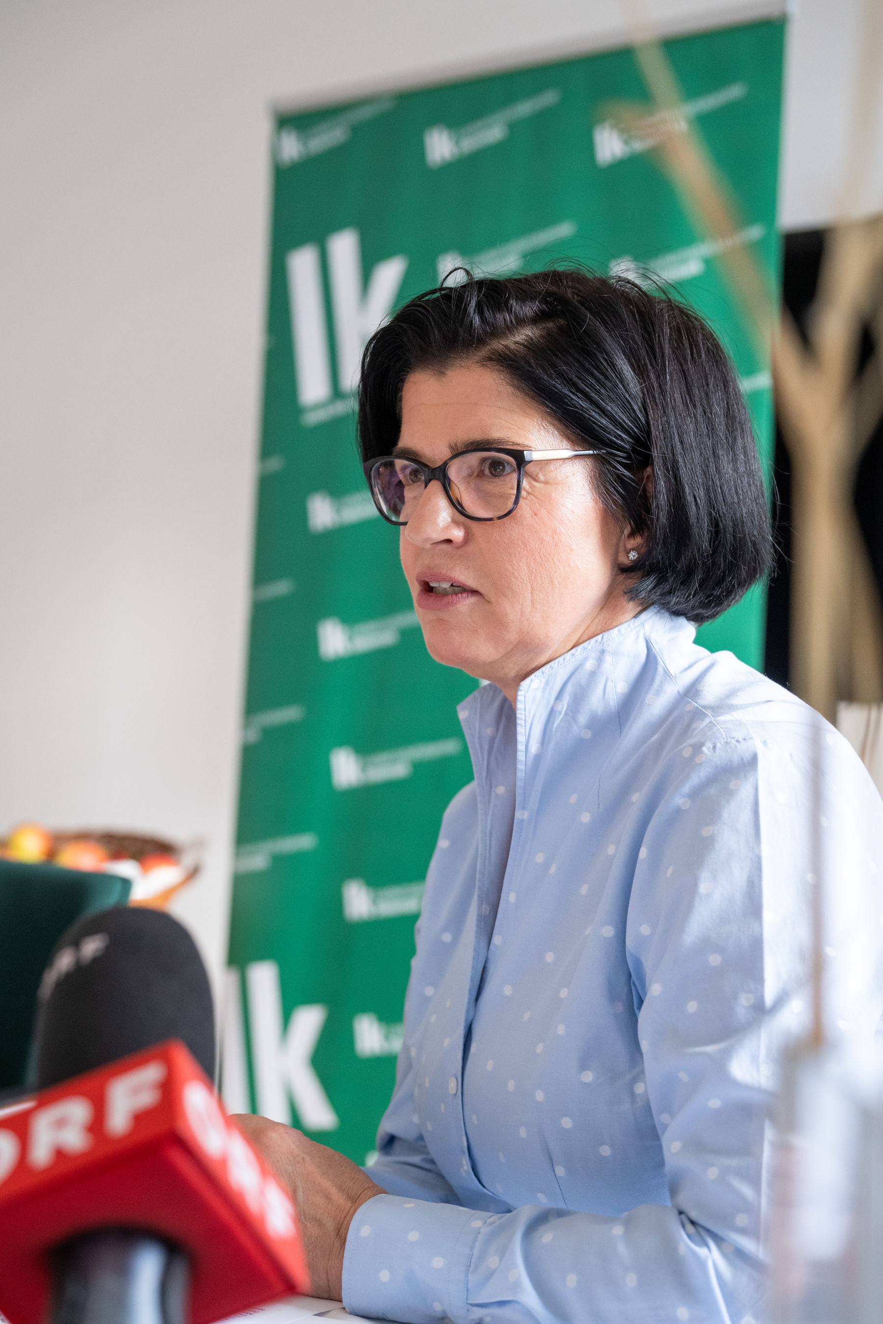 © LK Steiermark-Danner