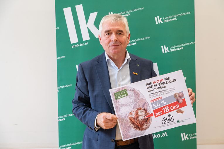 © LK Steiermark-Danner