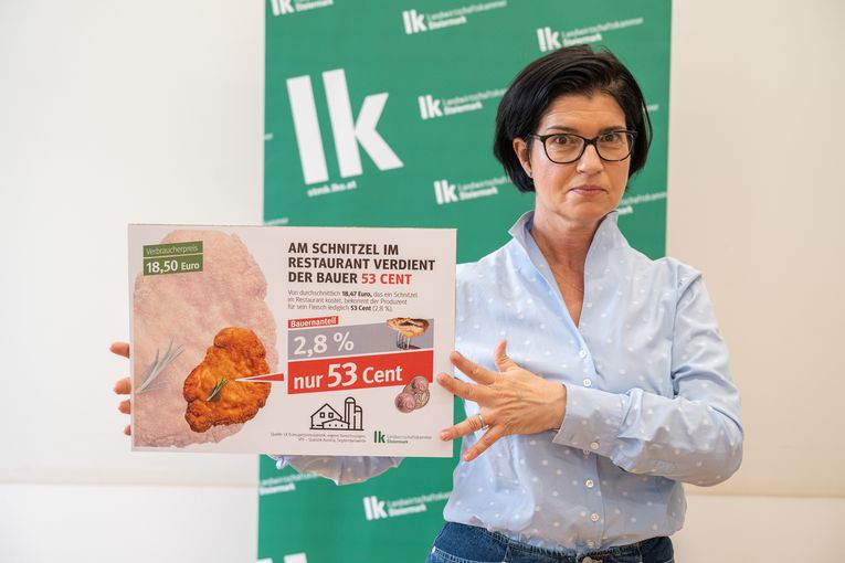 © LK Steiermark-Danner