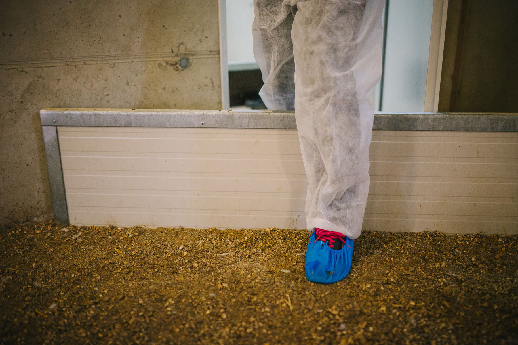 AMA_MG_6263_sRGB.jpg © LK OÖ AMA_MG_6263_sRGB.jpg © LK OÖ