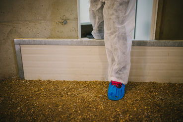 AMA_MG_6263_sRGB.jpg © LK OÖ AMA_MG_6263_sRGB.jpg © LK OÖ