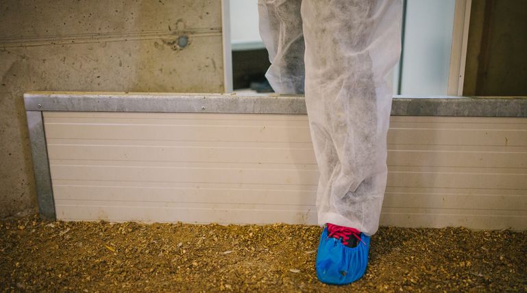 AMA_MG_6263_sRGB © LK OÖ