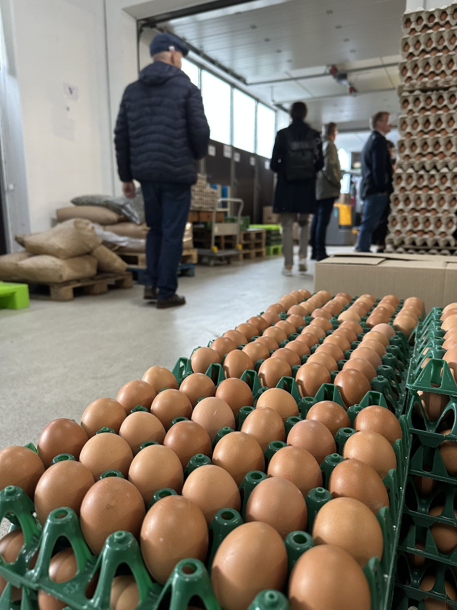 Reportage © Martin Rinner - LK Steiermark