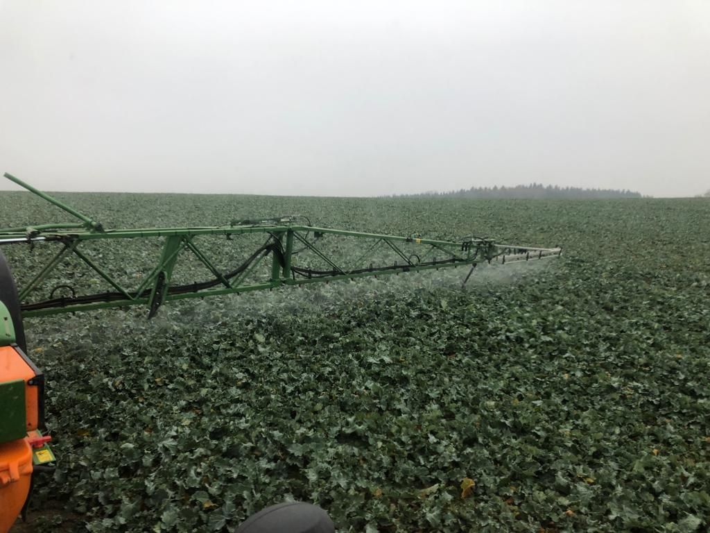 IMG-20211125-WA0003.jpg © Kagerer Peter