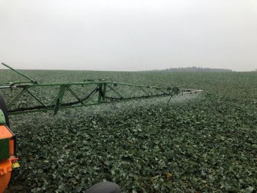 IMG-20211125-WA0003.jpg © Kagerer Peter