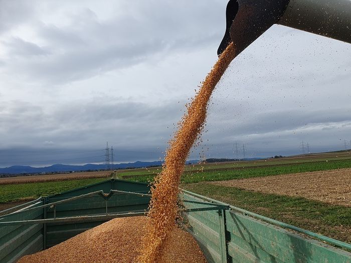 [1762179147903569_1.jpg]