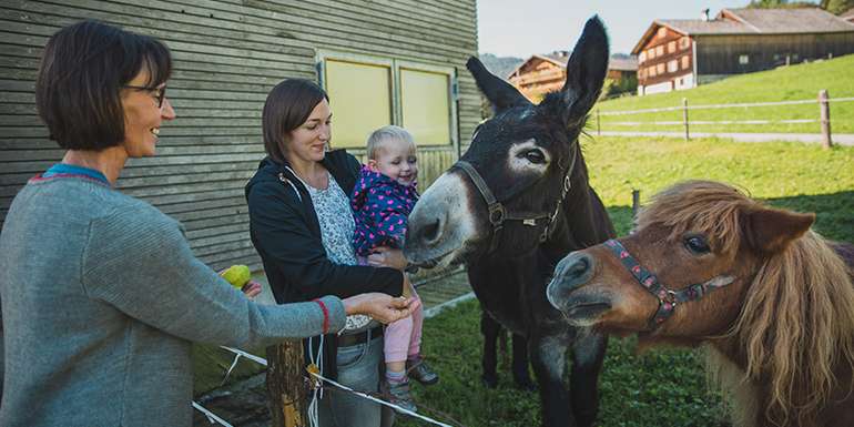 Urlaub am Bauernhof.jpg © UaB Österreich