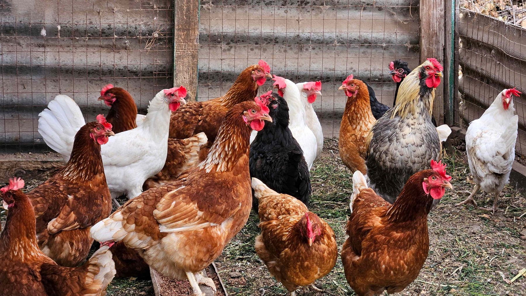 AdobeStock_1085731074.jpg © stock.adobe.com