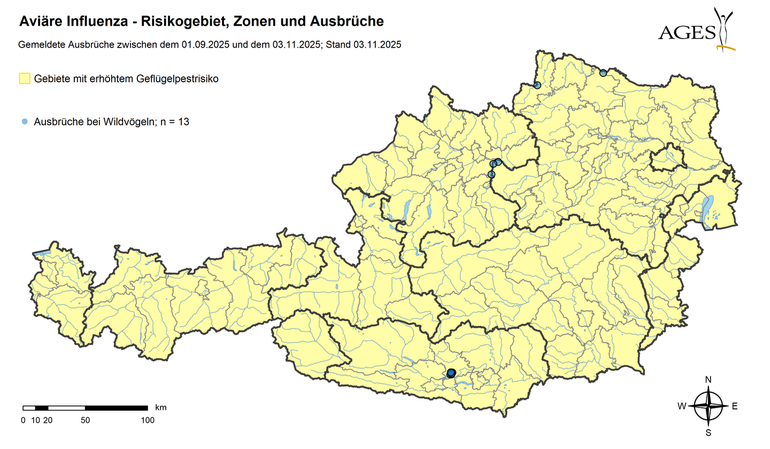 Gelügelpest Ausbrüche (Stand: 3.11.2025) © AGES