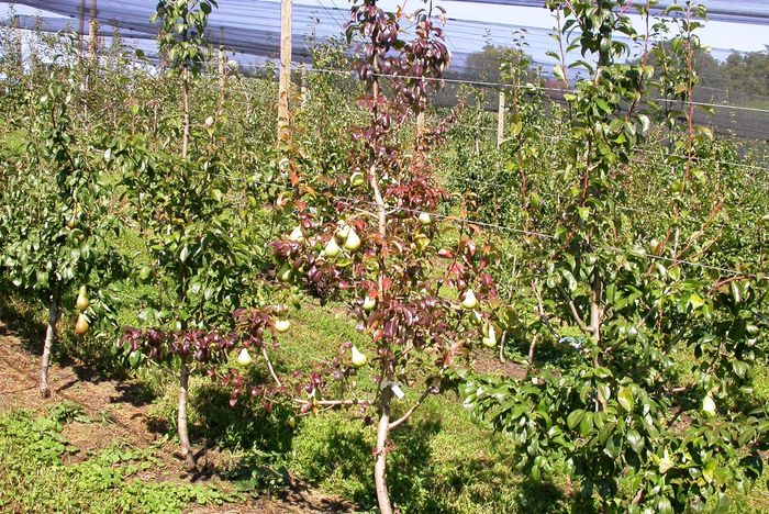 [1762248184195866_1.jpg]