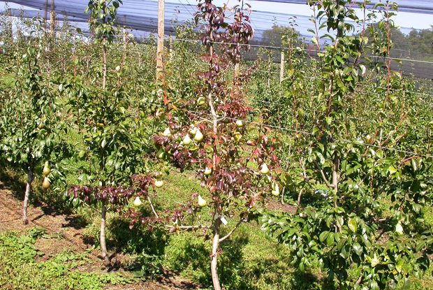 [1762248184195866_7.jpg]