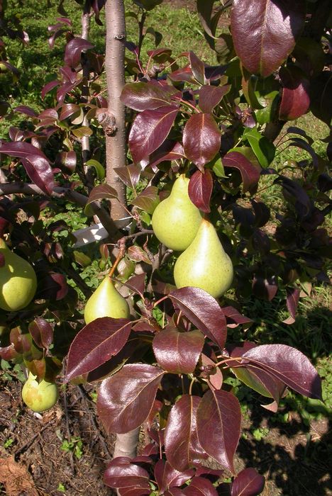 [1762248315021113_1.jpg]