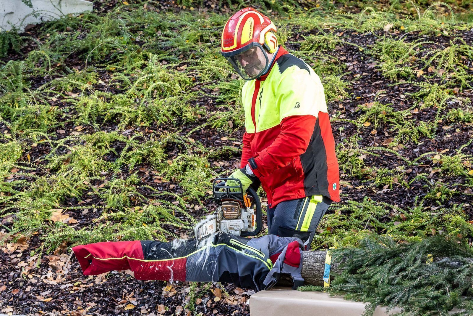 PK SVS Schnittschutzhose_Cityfoto Pelzl.jpg © Cityfoto Pelzl