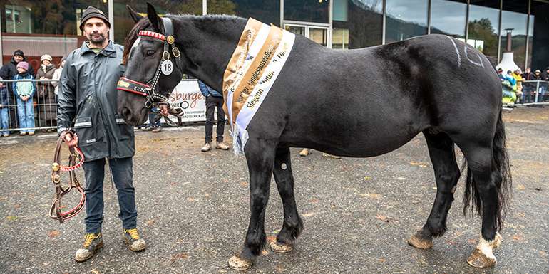 Landesnorikerschau.jpg © picturebygutschi