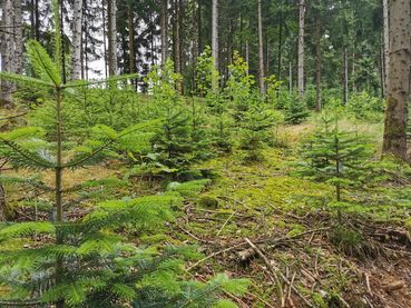 Bild_2.jpg © LK OÖ/Stelzer