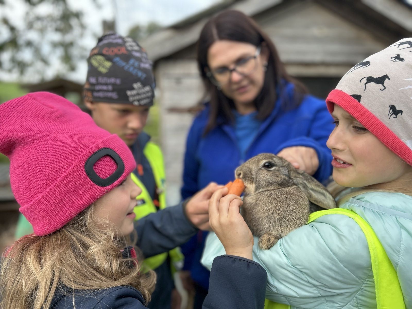 image00005.jpg © Baischer