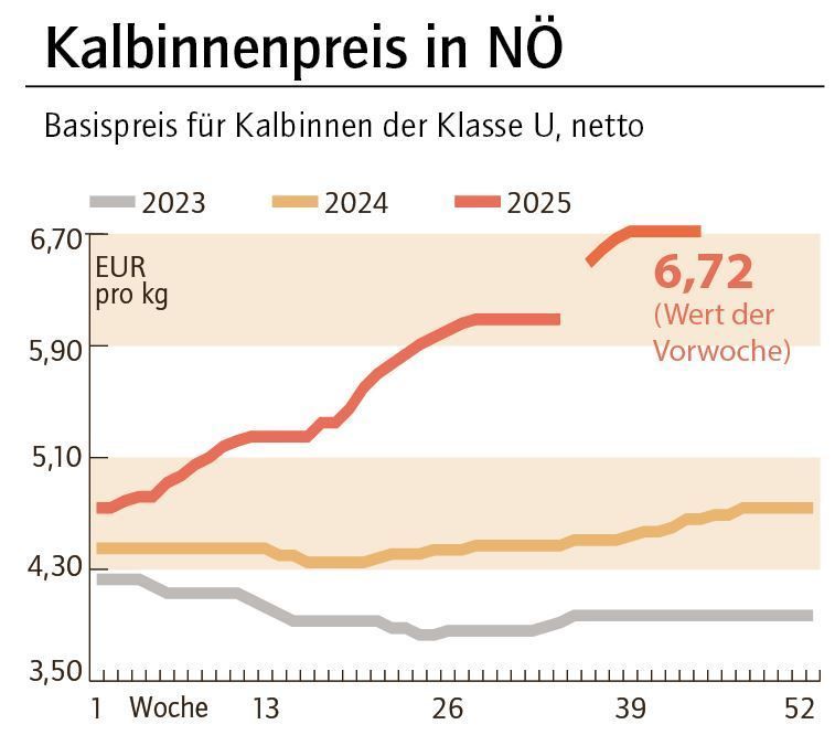 Grafik Kalbinnenpreis 45_2025.jpg © LK NÖ