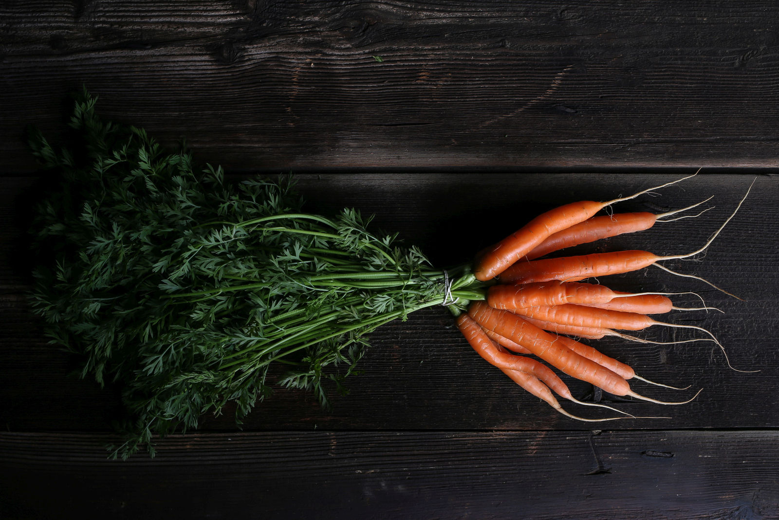 Erle_Leben_Wurzelgemüse_Karotten_LFI_Volker Weihbold.jpg © Volker Weihbold