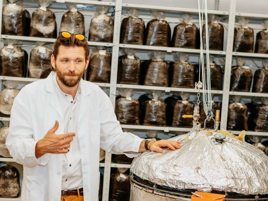 Konrad Daniel, Schilcherlandpilze.jpg © KK