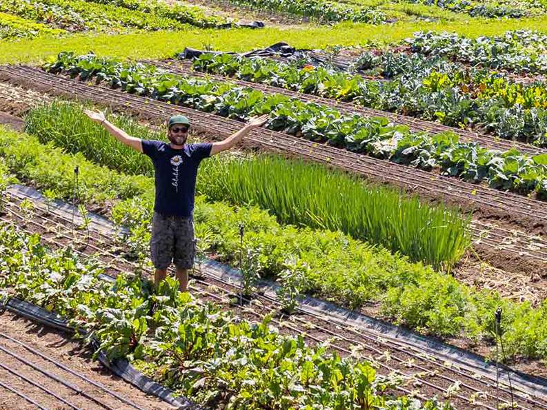 Windberger Michael, Garten am Berg.jpg © Netzwerk Kulinarik/Wildbild.at