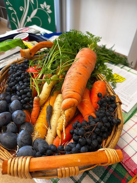 Schulaktion Oktober 2025 © Die Bäuerinnen im gebiet Weitra